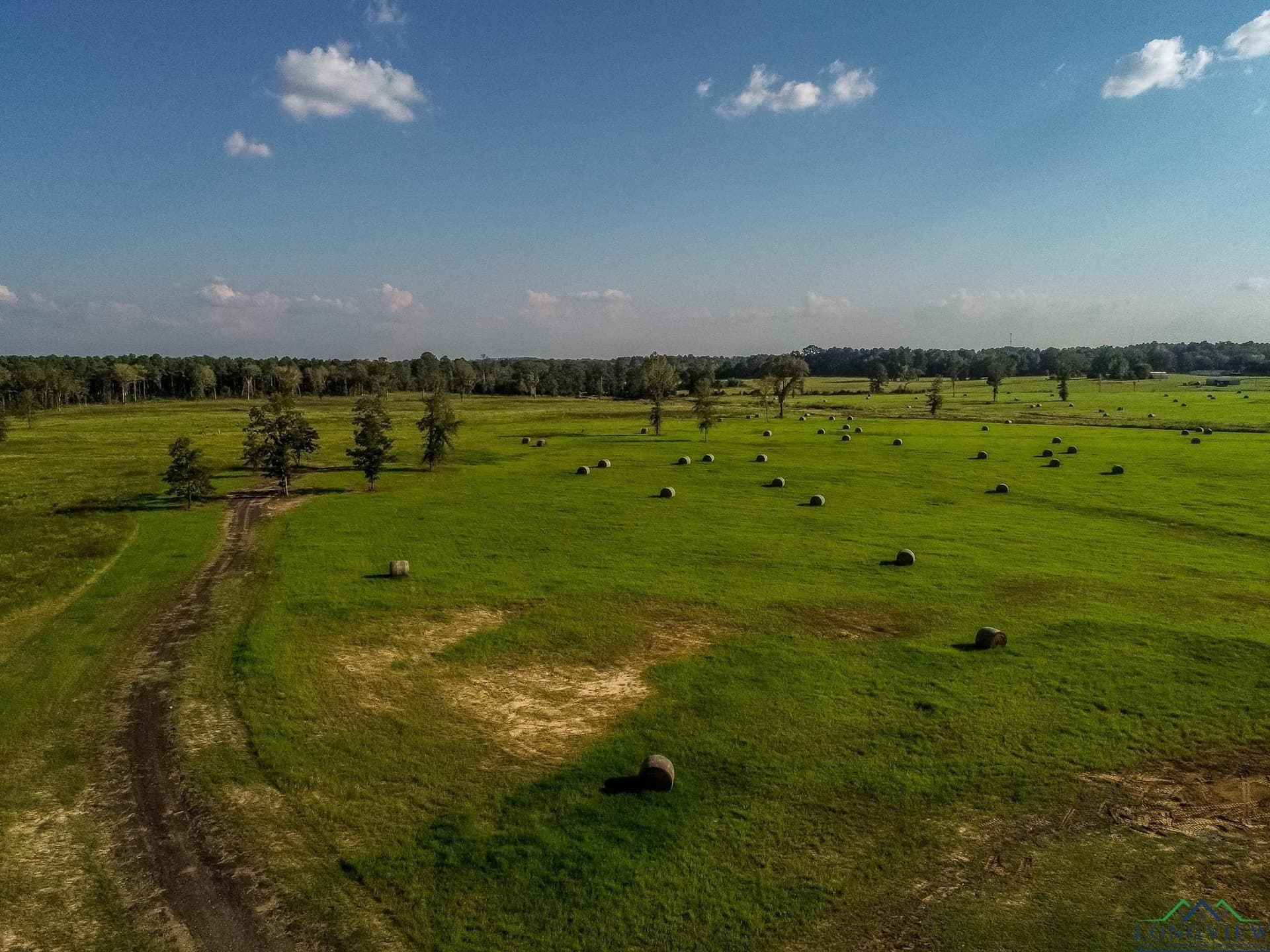 155 acres in Harrison County - photo 31