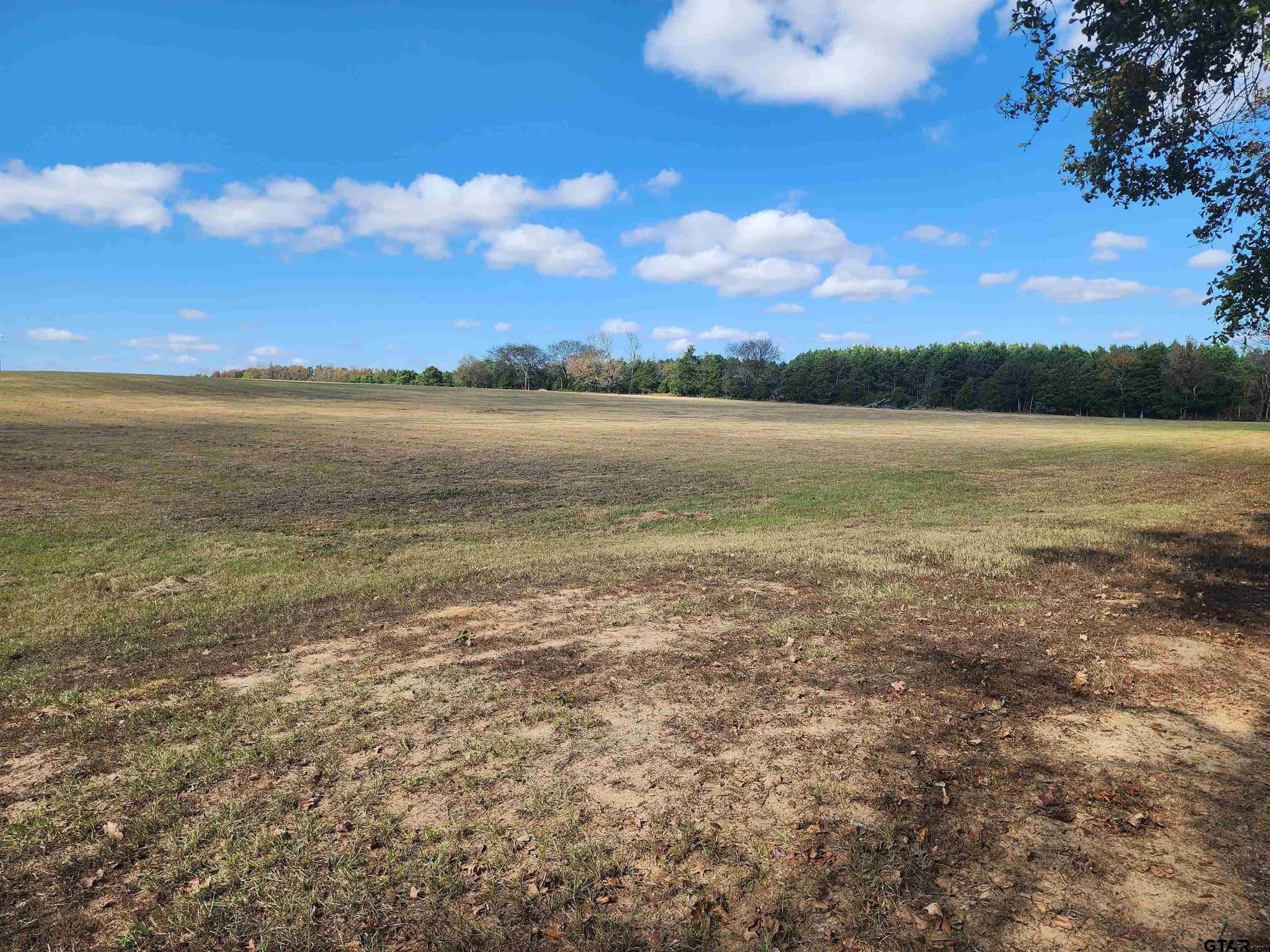20 acres in Titus County - photo 2