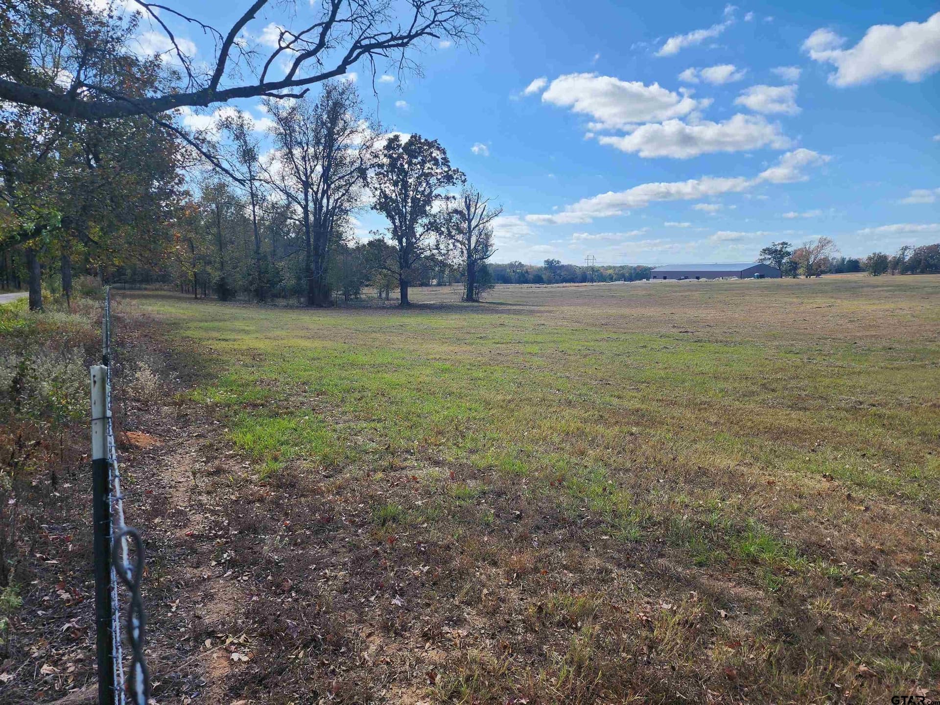 20 acres in Titus County - photo 4