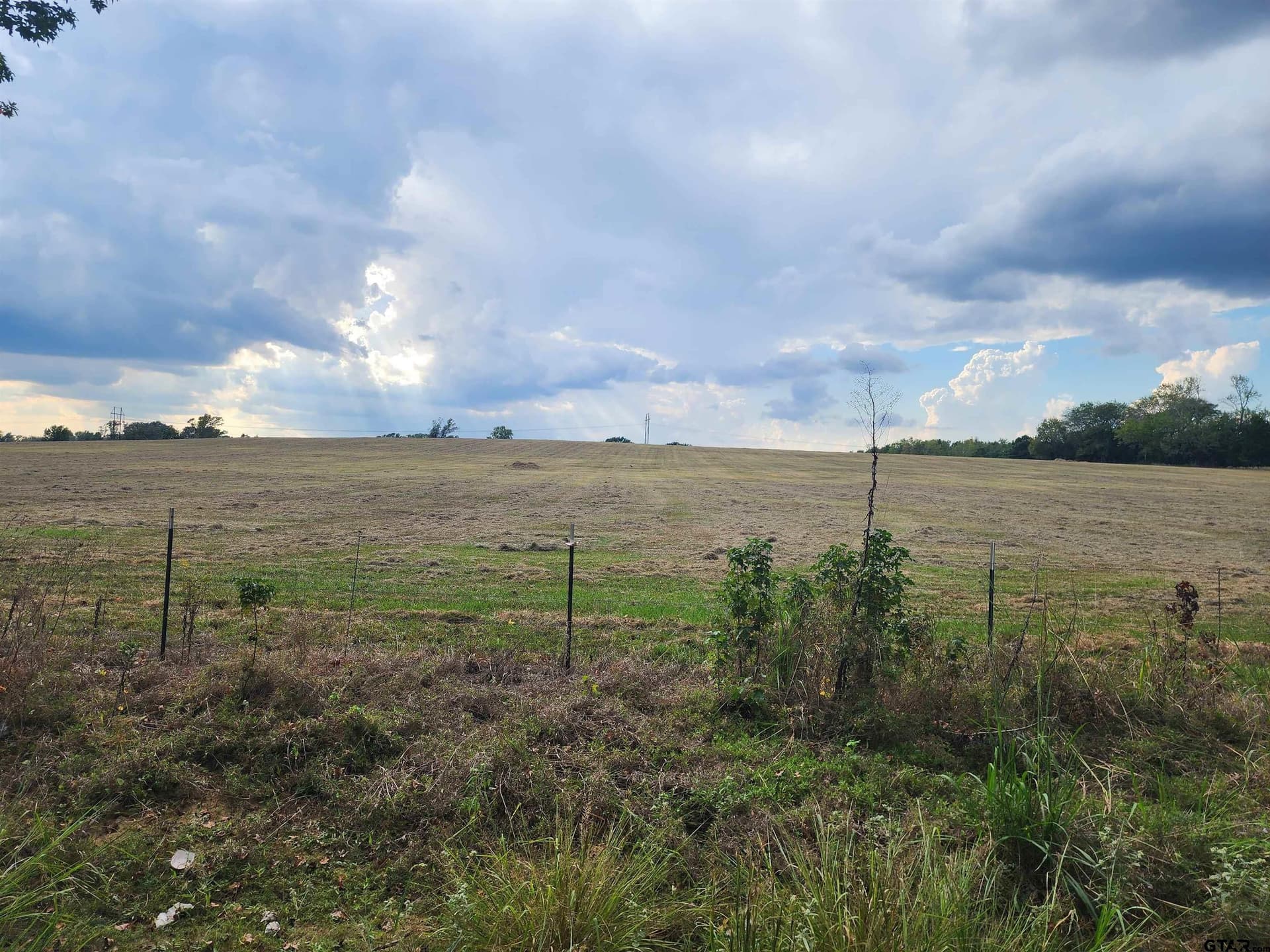 20 acres in Titus County - photo 5