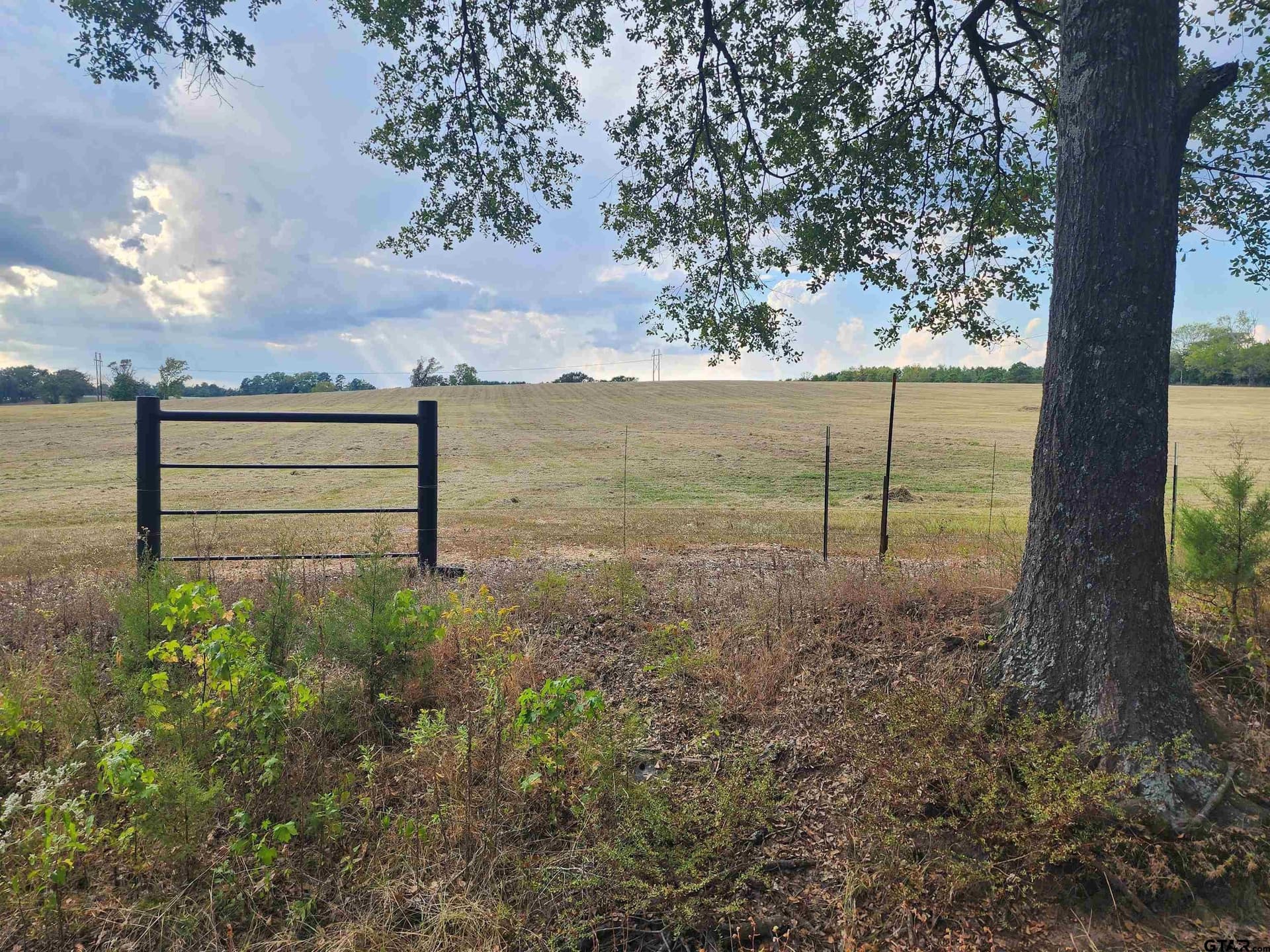 20 acres in Titus County - photo 7