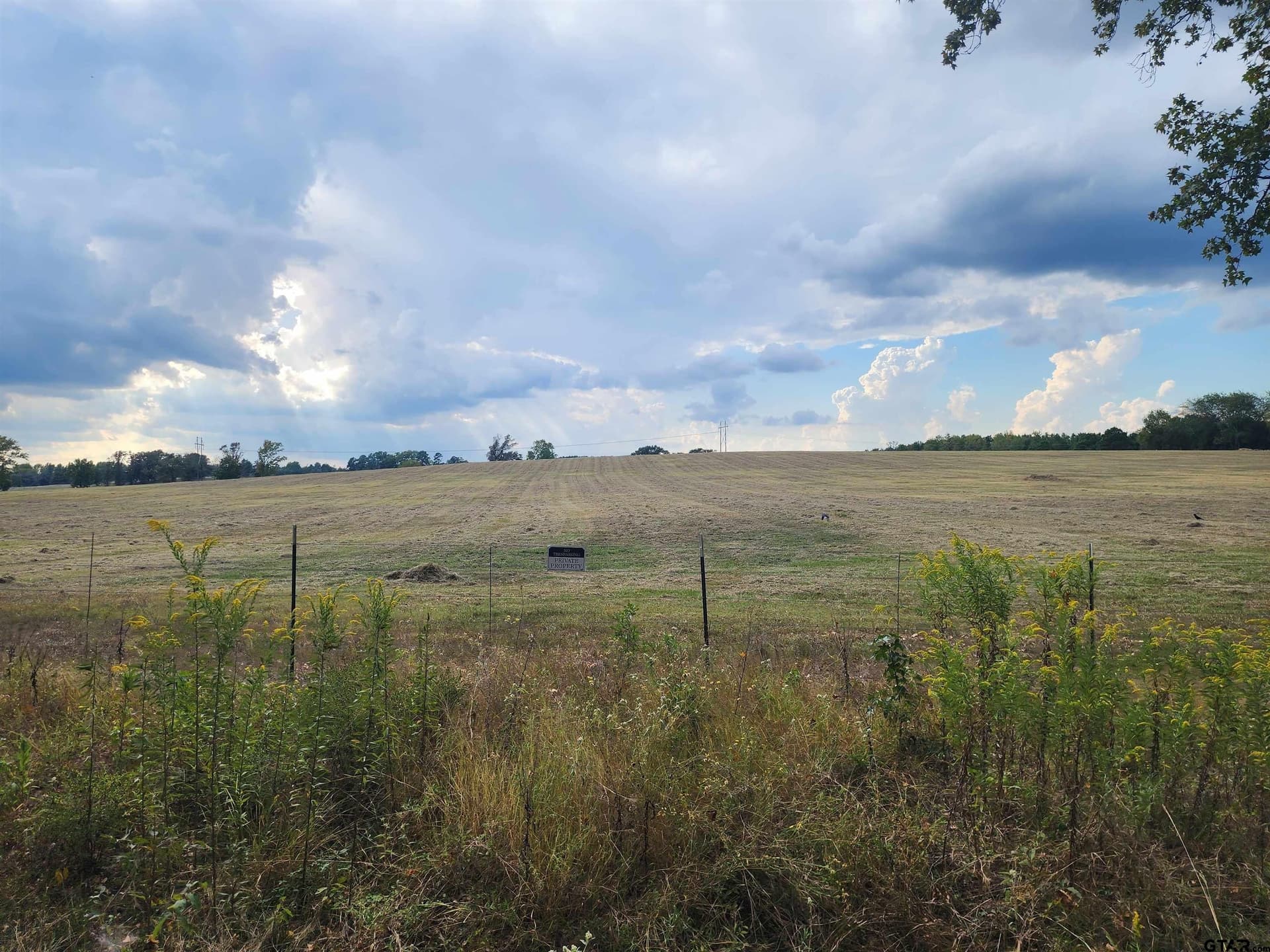 20 acres in Titus County - photo 6