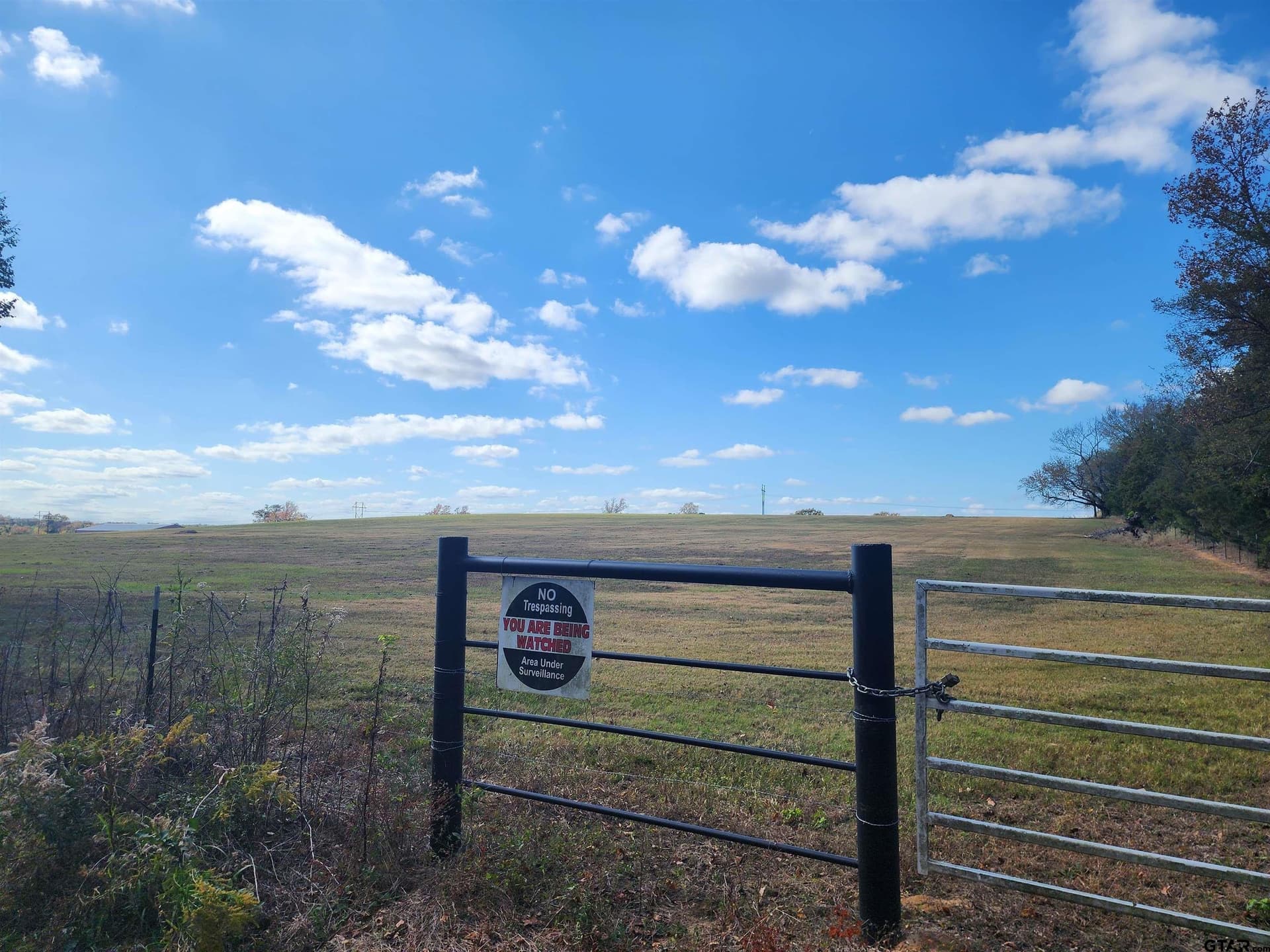 20 acres in Titus County - photo 3