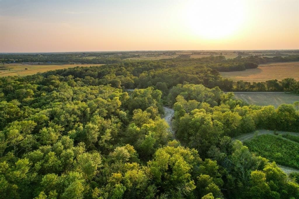 40.43 acres in Fannin County - photo 8