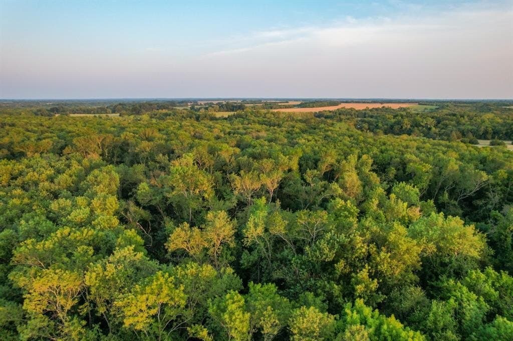 40.43 acres in Fannin County - photo 11