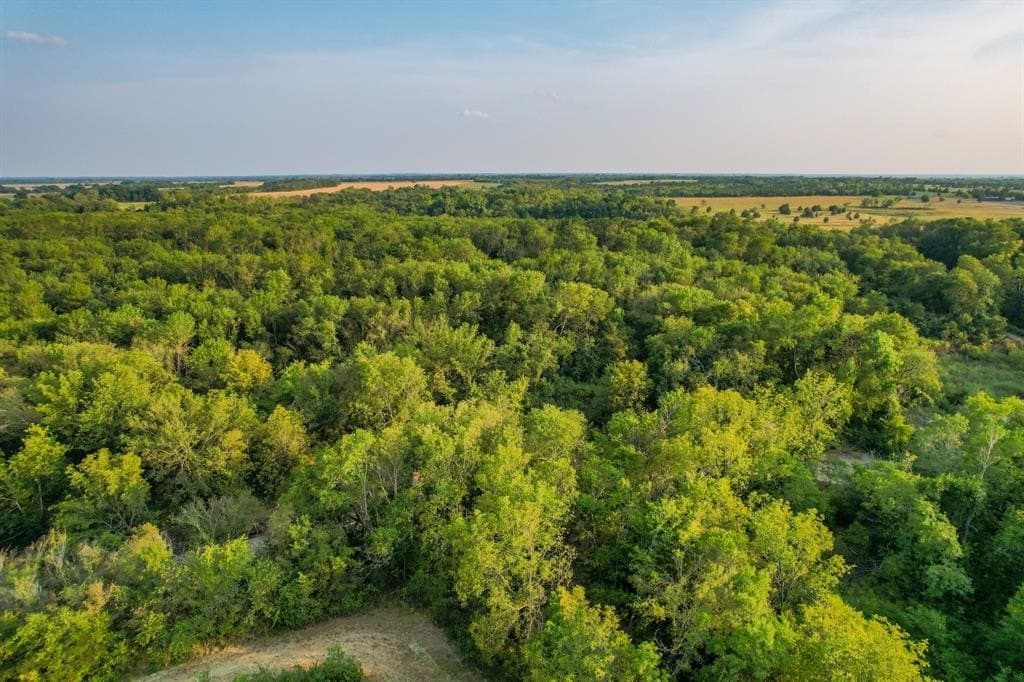40.43 acres in Fannin County - photo 5