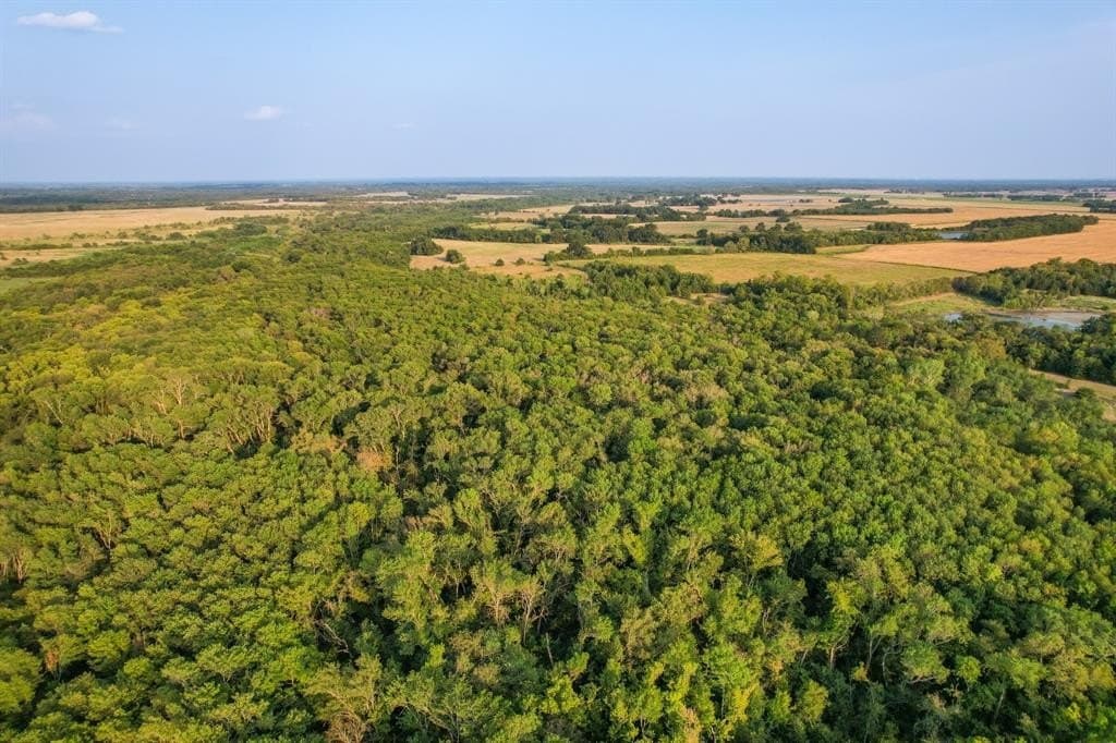 40.43 acres in Fannin County - photo 3