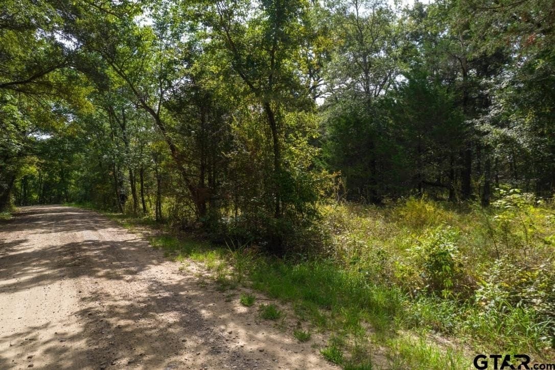 5 acres in Hopkins County - photo 6