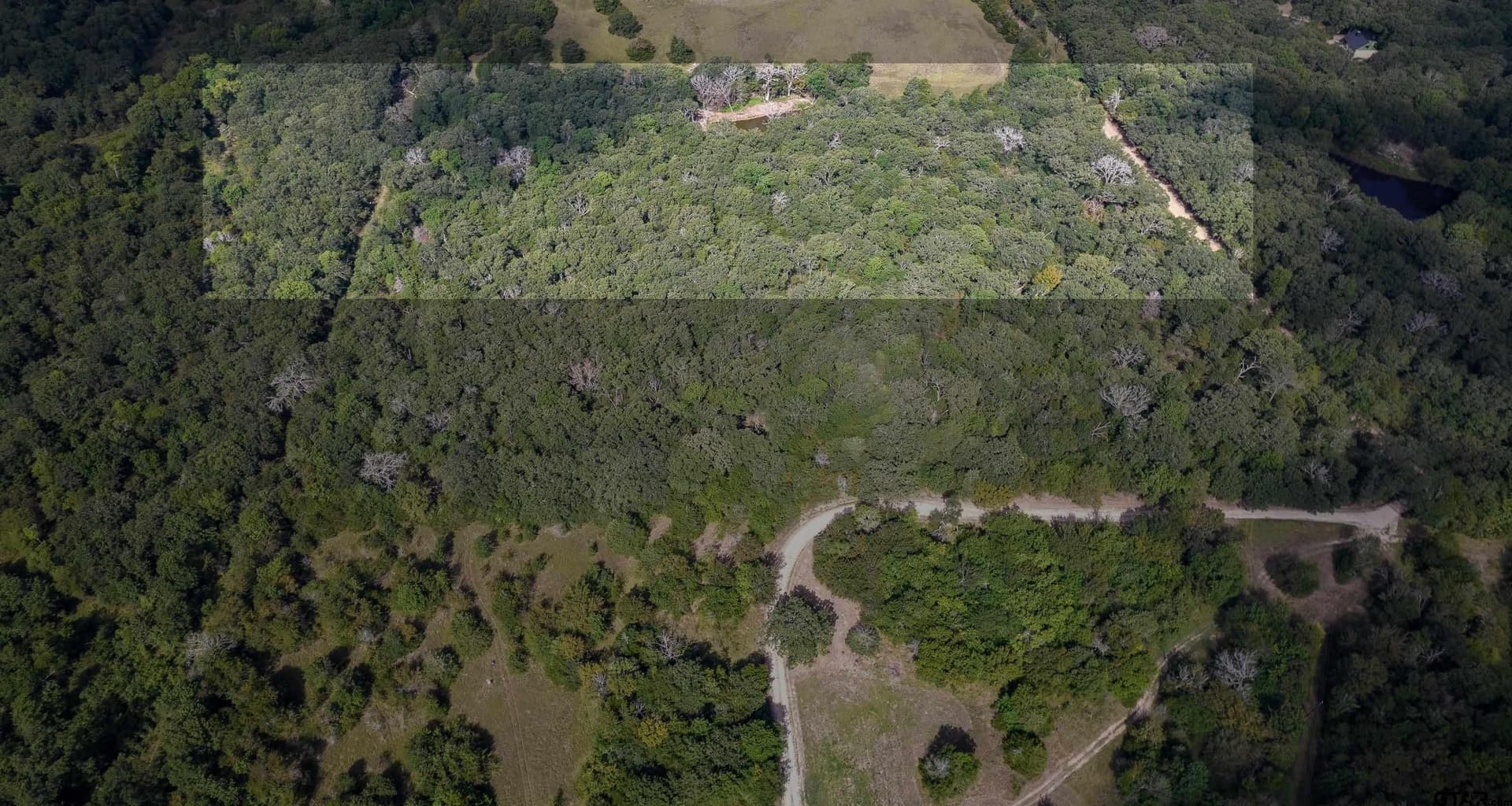 5 acres in Hopkins County - photo 4