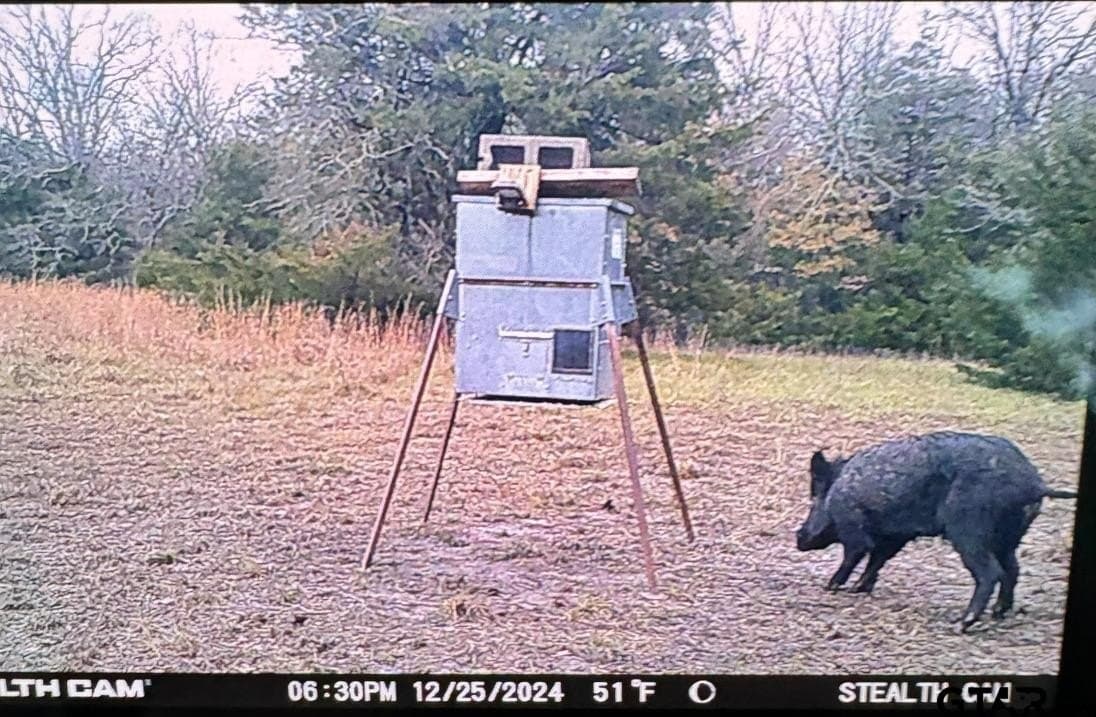 5 acres in Hopkins County - photo 8