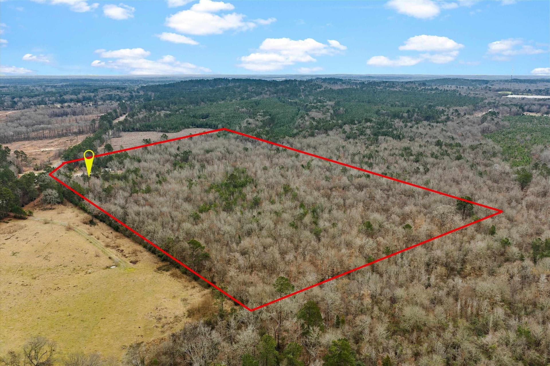 37.8 acres in Shelby County - photo 4
