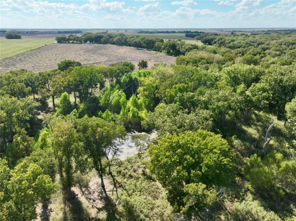 1,368 acres in Ellis County - photo 20