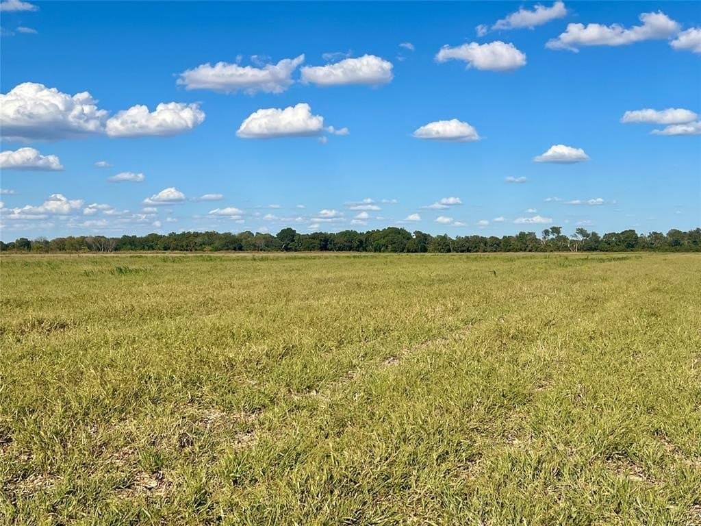 1,368 acres in Ellis County - photo 32