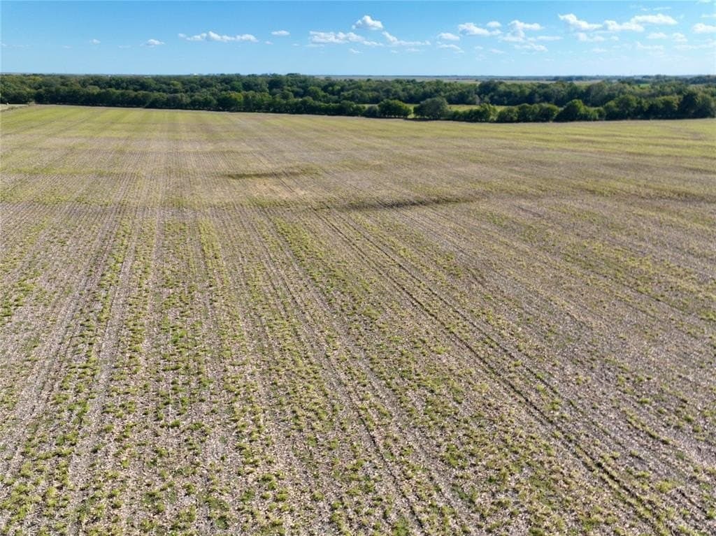 1,368 acres in Ellis County - photo 29