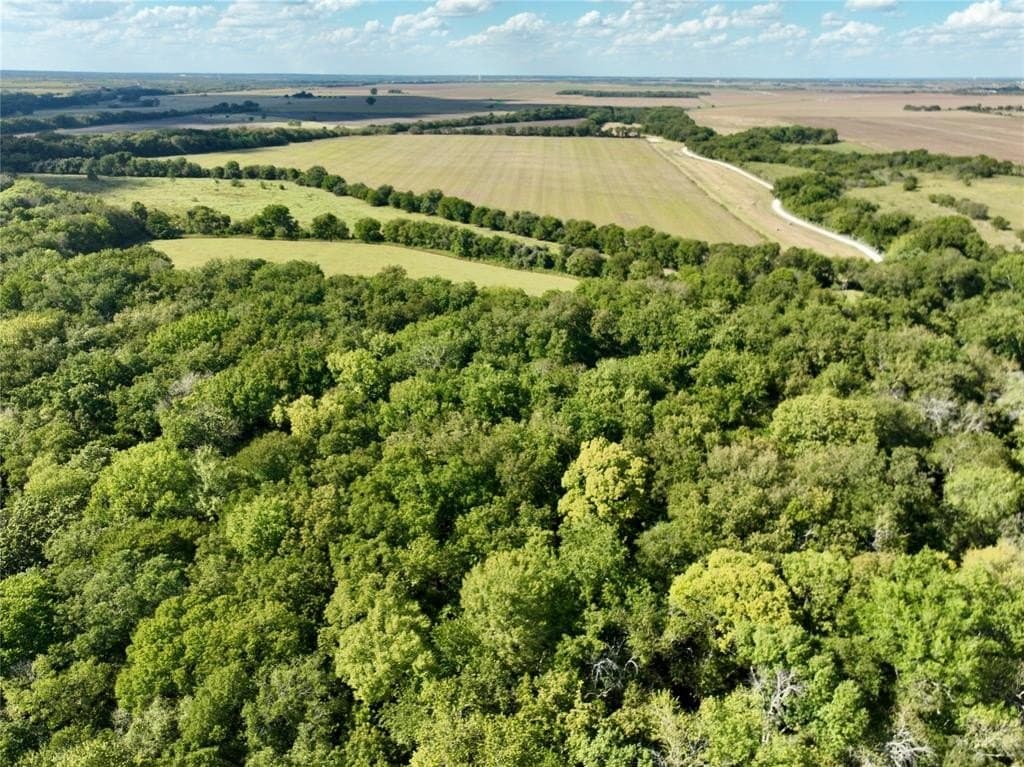 1,368 acres in Ellis County - photo 23