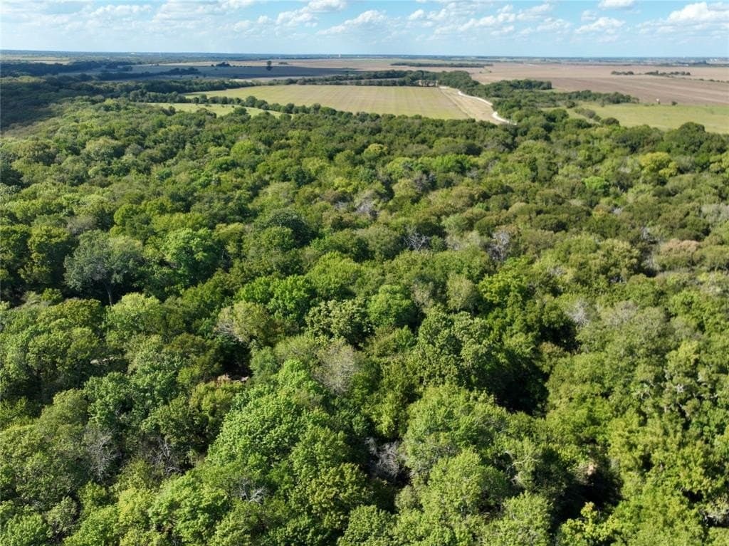 1,368 acres in Ellis County - photo 22