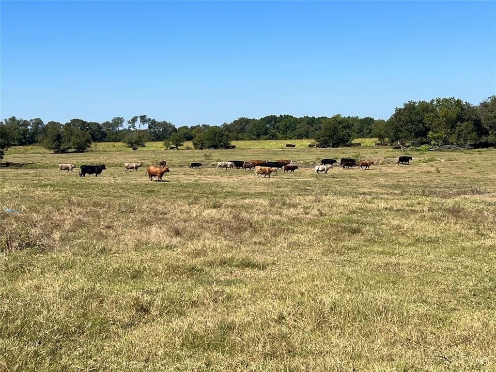 Tbd 1368 Acres Lowell Road