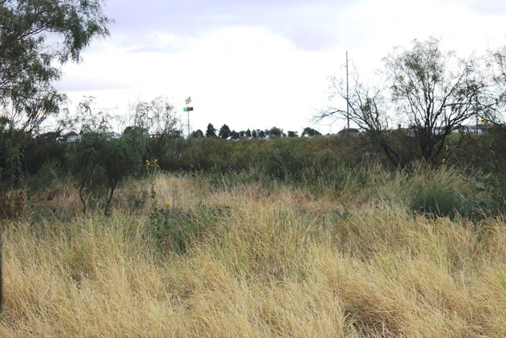 0 acres in Pecos County - photo 4