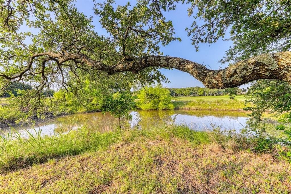 1.5 acres in Parker County - photo 4