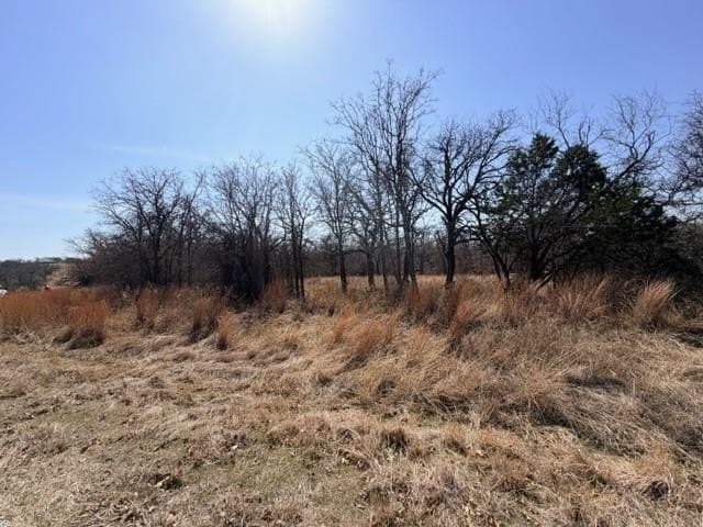 2 acres in Parker County - photo 12