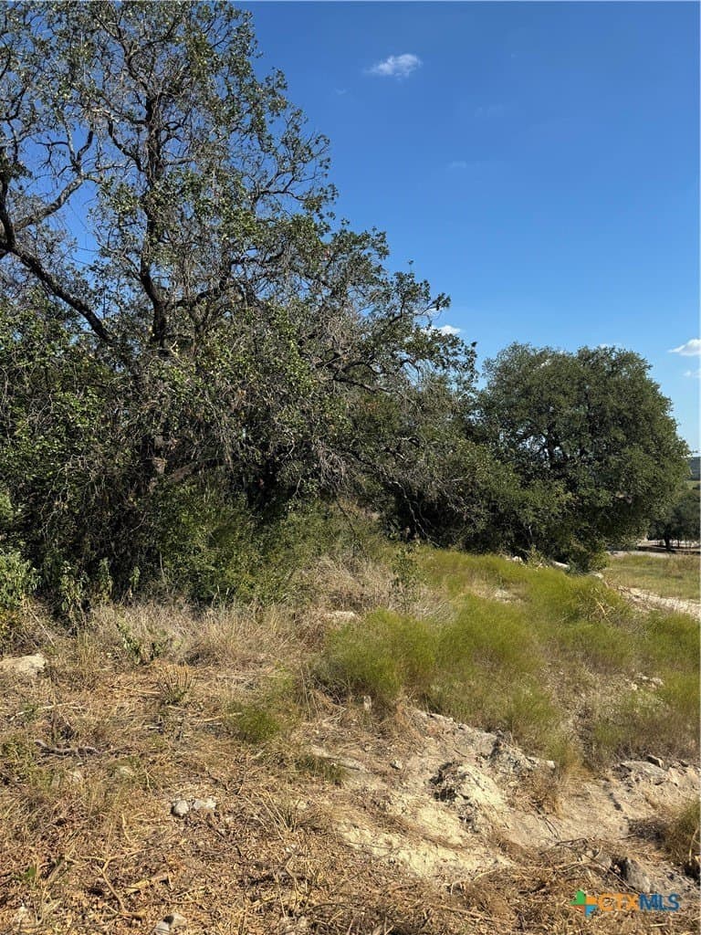 1.09 acres in Bell County - photo 3