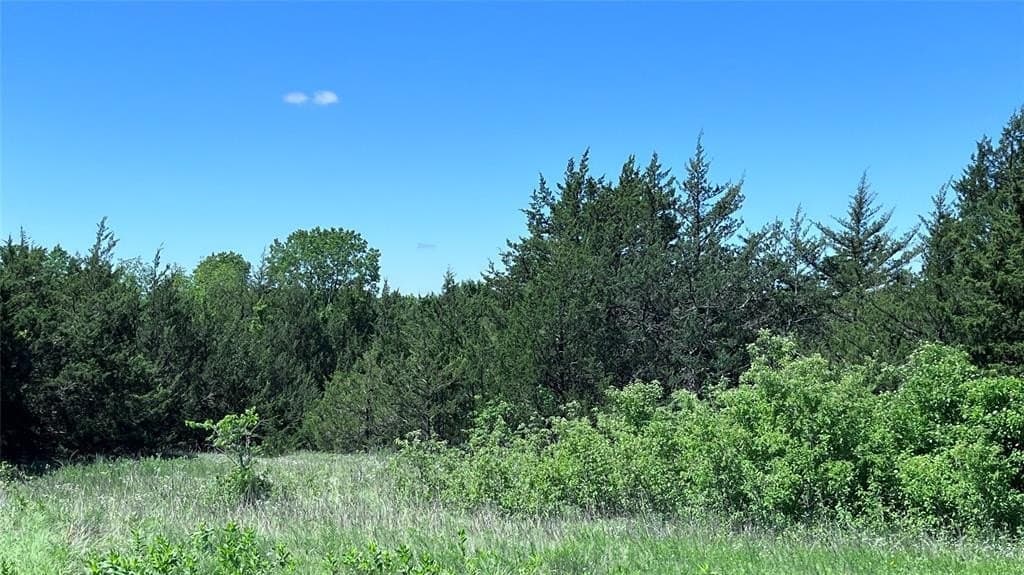 18.77 acres in Grayson County - photo 13