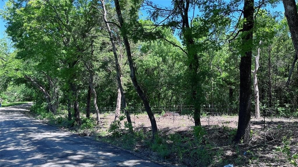 18.77 acres in Grayson County - photo 11
