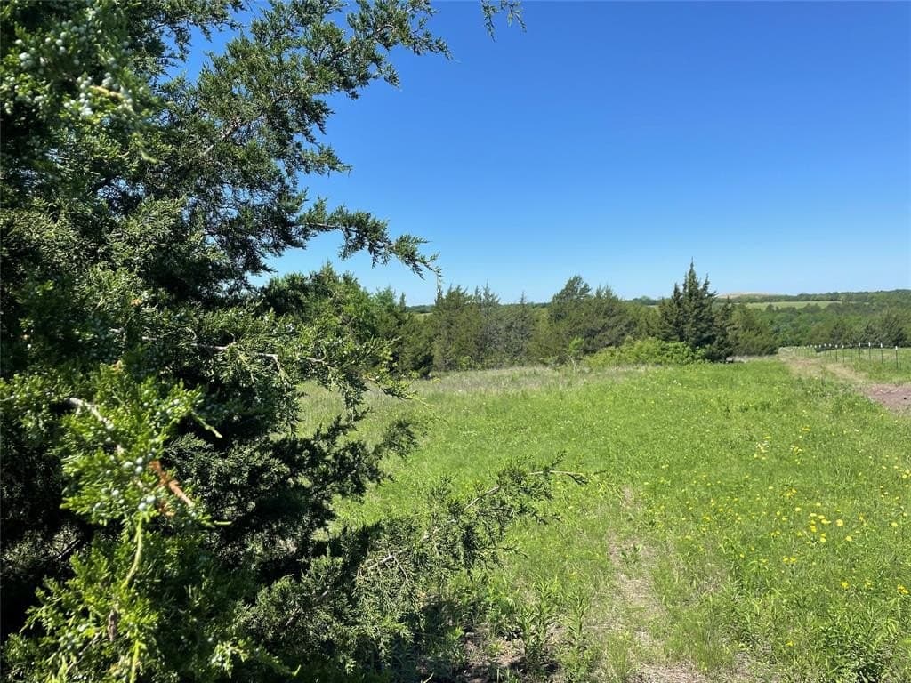 18.77 acres in Grayson County - photo 2