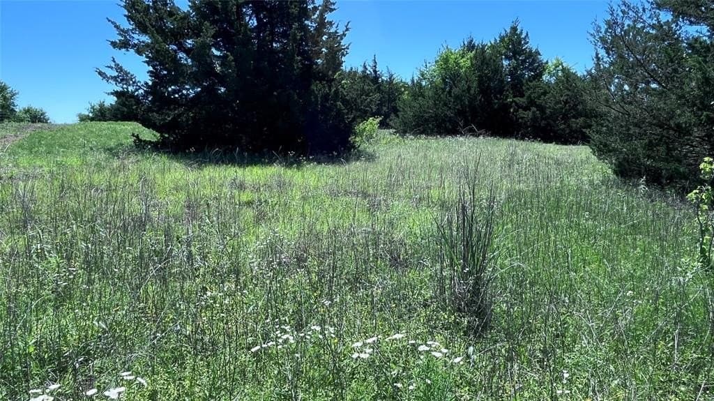 18.77 acres in Grayson County - photo 18