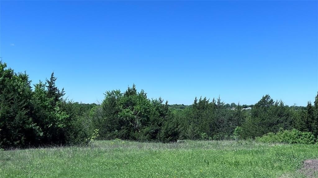 18.77 acres in Grayson County - photo 5