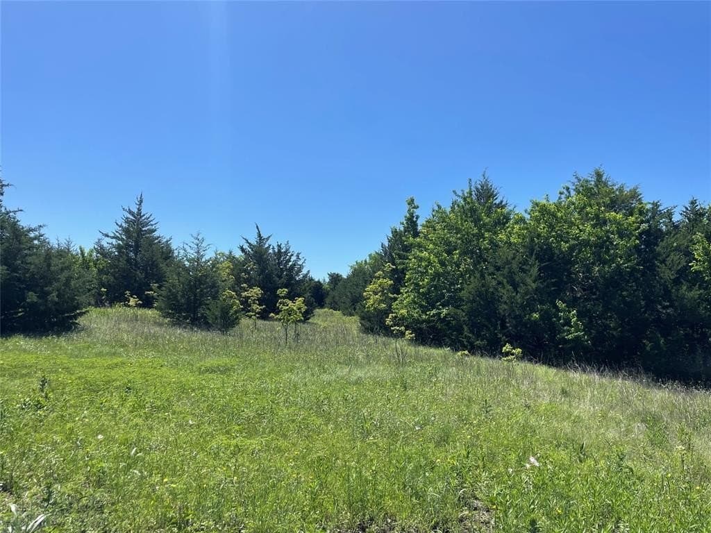 18.77 acres in Grayson County - photo 14