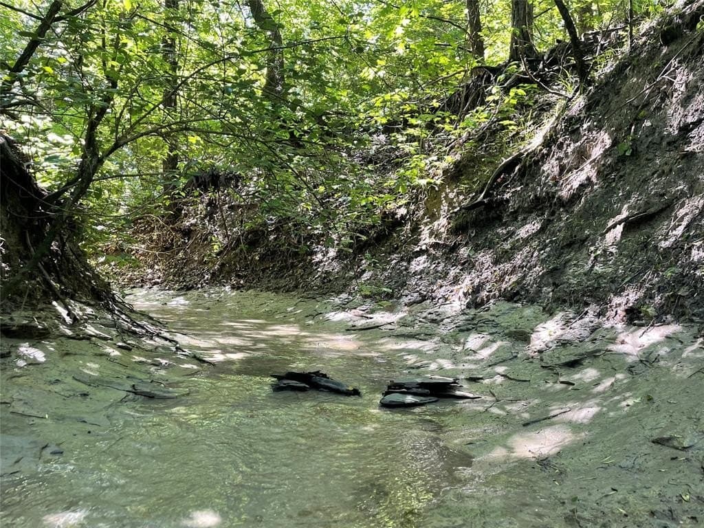 18.77 acres in Grayson County - photo 4