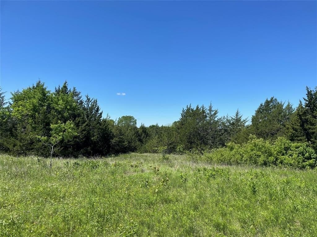 18.77 acres in Grayson County - photo 6