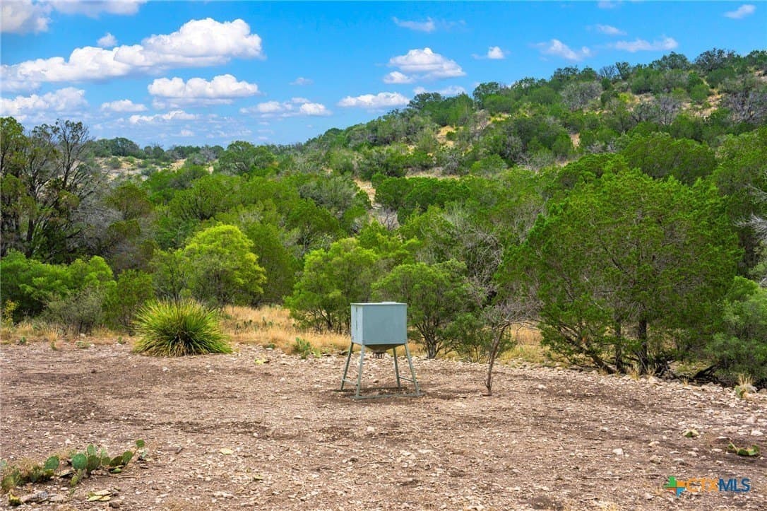 636 acres in Val Verde County - photo 12