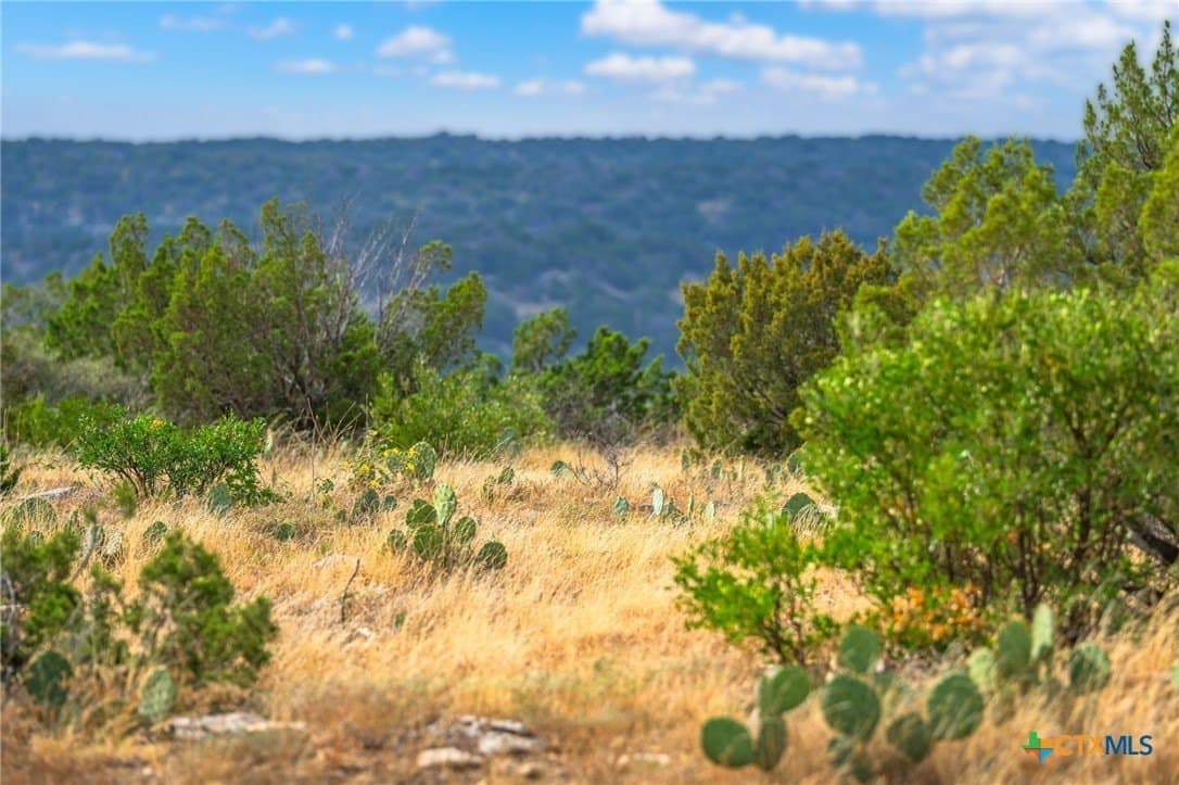 636 acres in Val Verde County - photo 19