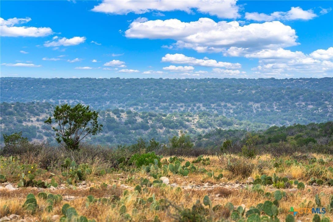 636 acres in Val Verde County - photo 18