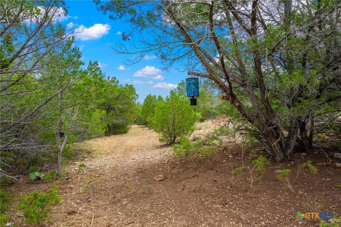636 acres in Val Verde County - photo 11