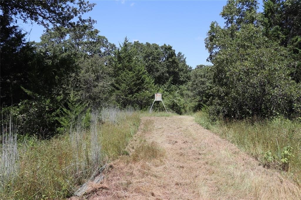 36 Acres FM 1749