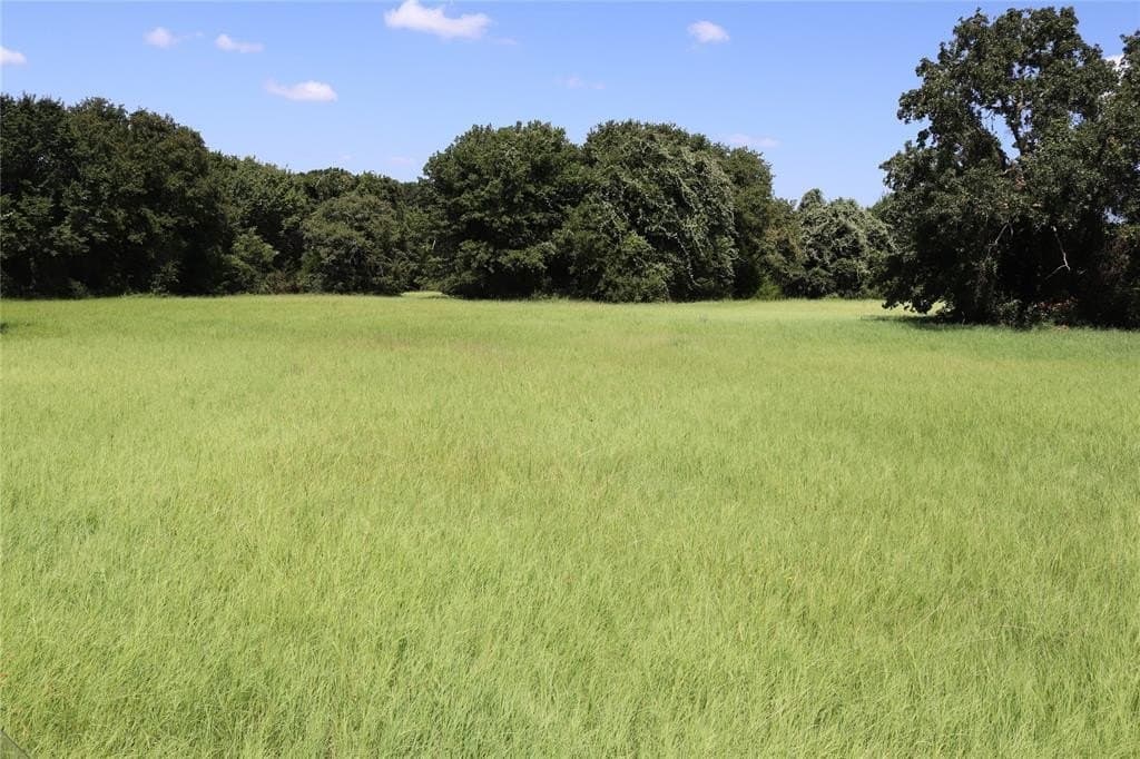 36 acres in Montague County - photo 3