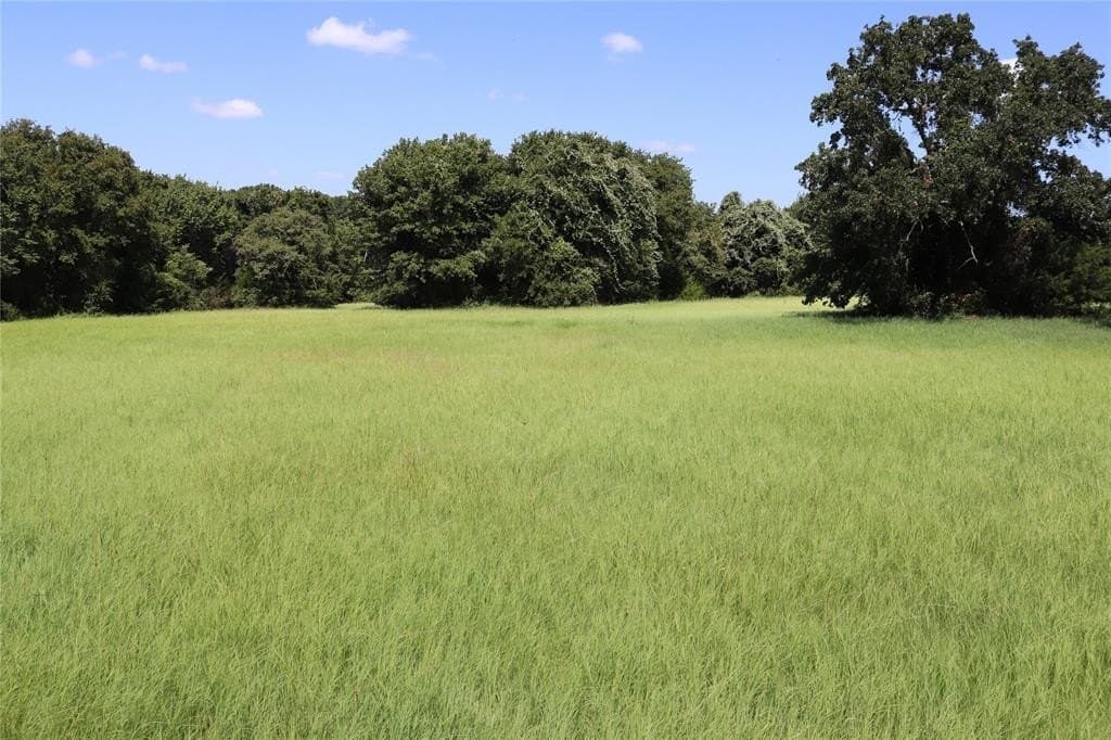 36 acres in Montague County - photo 2