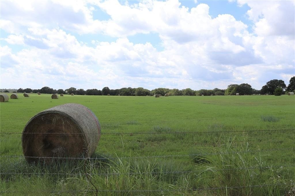 36 acres in Montague County - photo 5