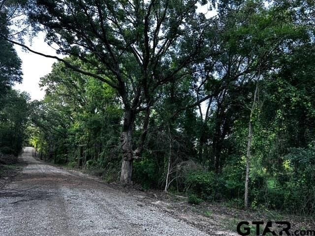 10.01 acres in Van Zandt County - photo 7