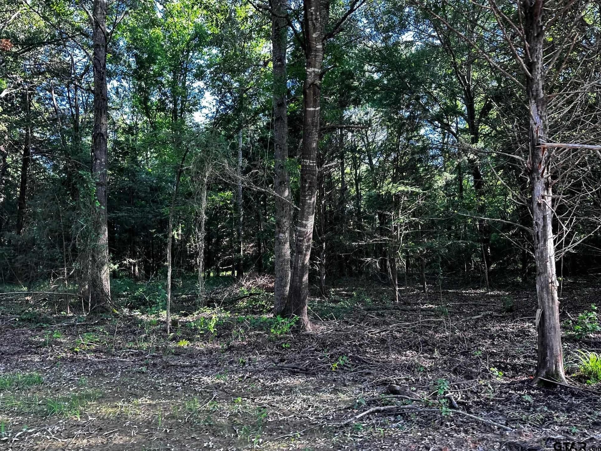 10.01 acres in Van Zandt County - photo 22