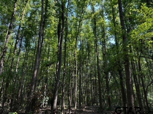 10.01 acres in Van Zandt County - photo 3