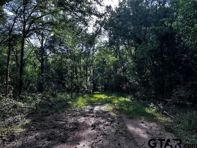 10.01 acres in Van Zandt County - photo 13