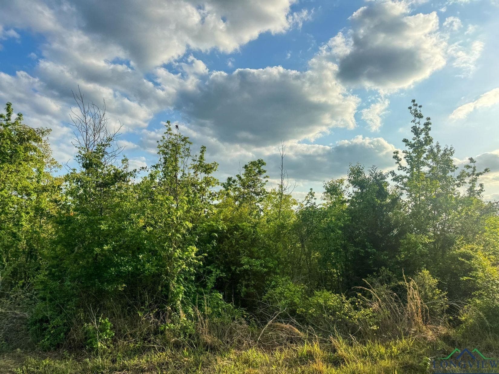 17.5 acres in Cass County - photo 12
