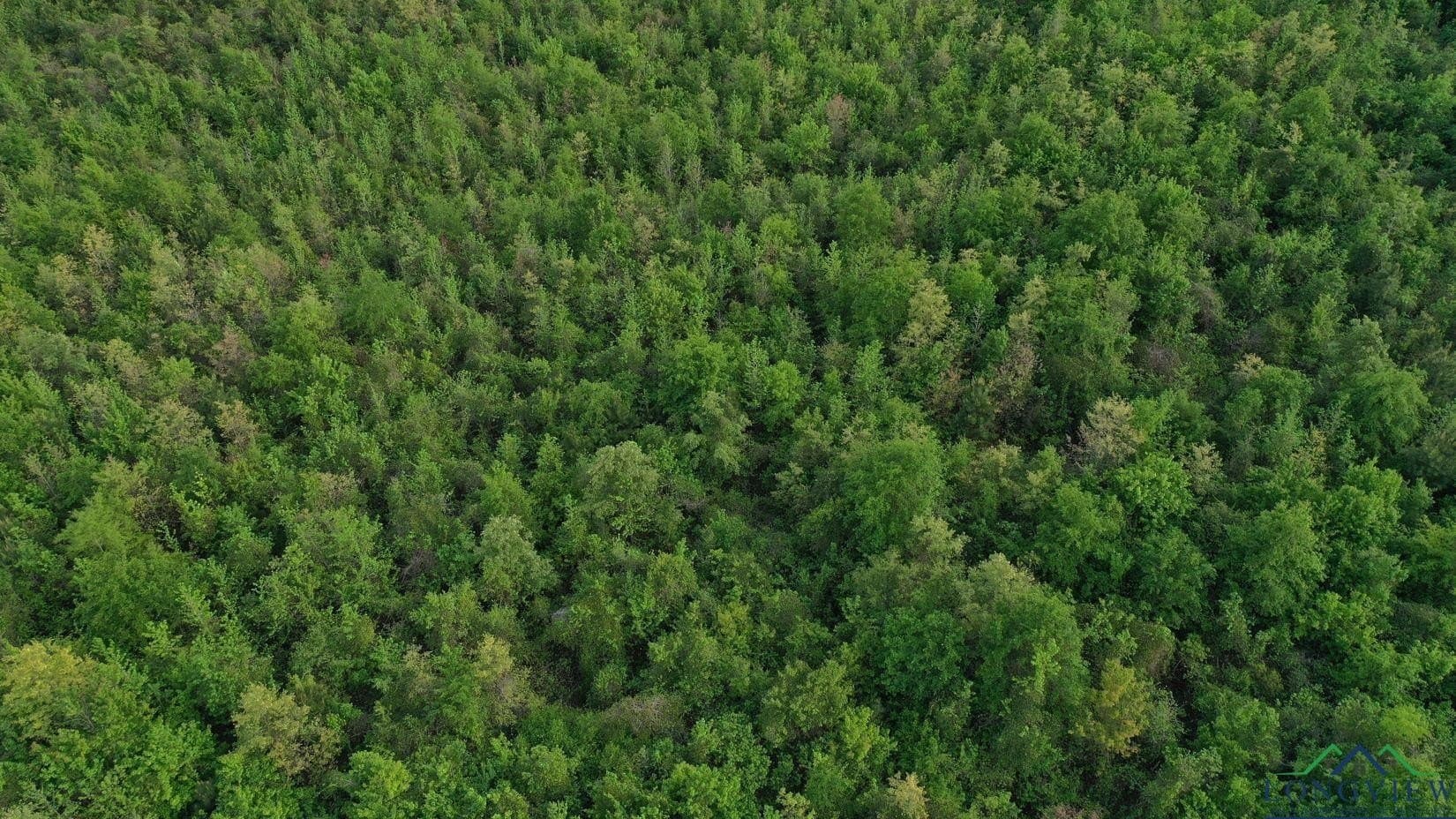 17.5 acres in Cass County - photo 4