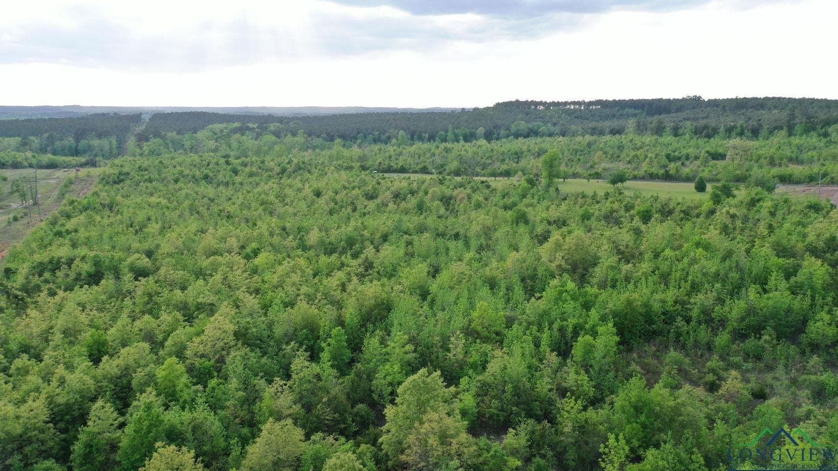 17.5 acres in Cass County - photo 2