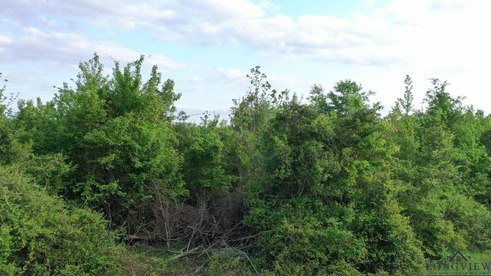 17.5 acres in Cass County - photo 15