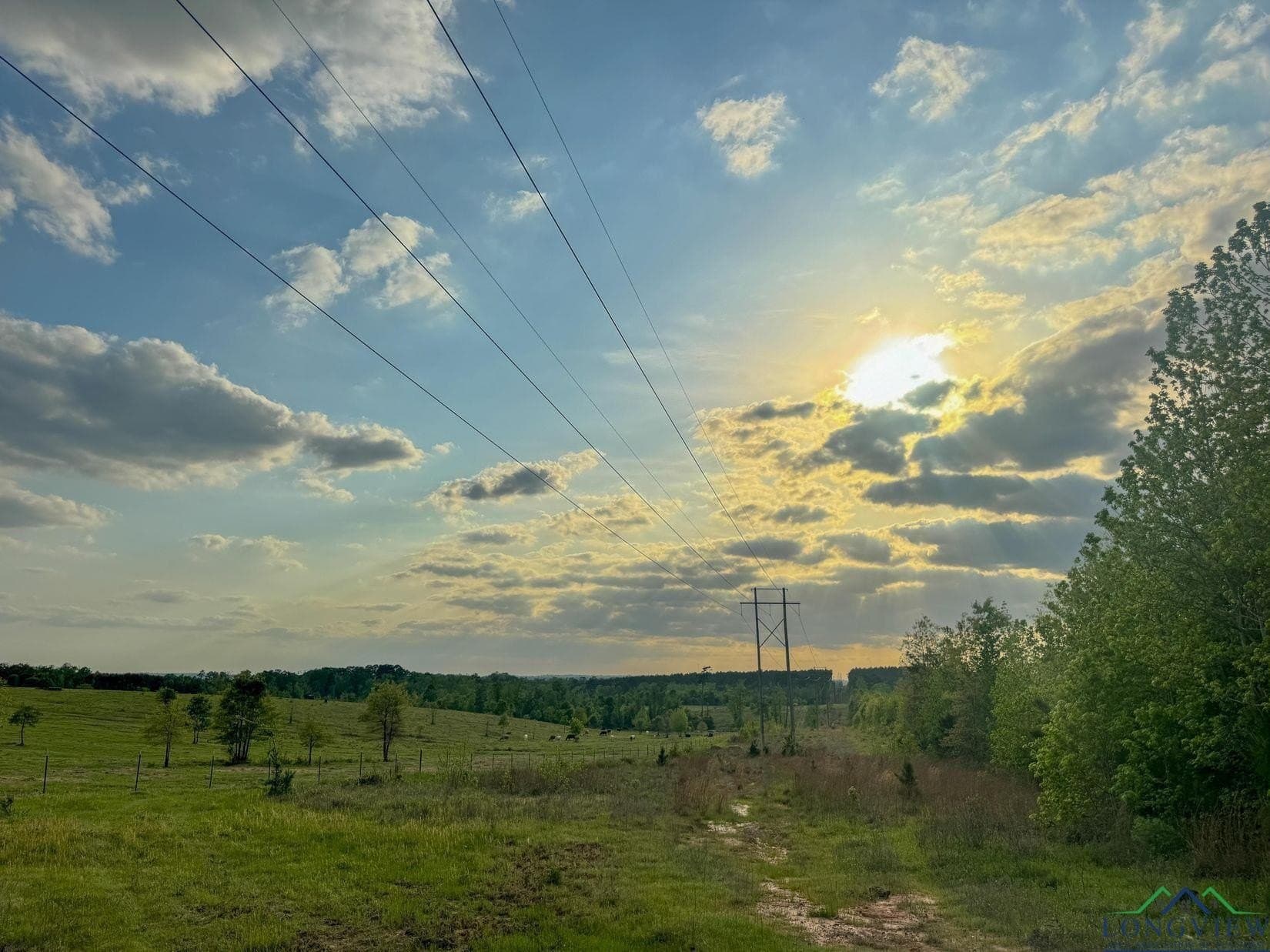 17.5 acres in Cass County - photo 16